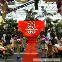 太原市迎泽区浪漫一生礼仪庆典服务部 一站式婚庆服务指南